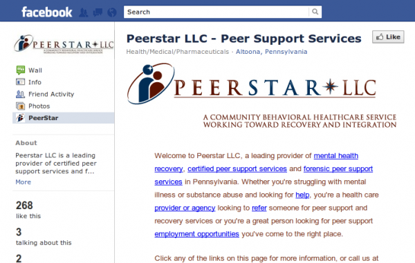 Mini Website in Facebook pages