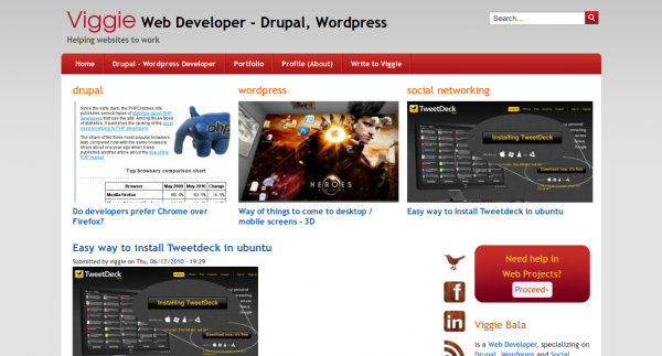 Viggie.com site re-structure & re-launch